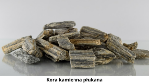 Kora kamienna Wrocław – płukana kora gnejsowa
